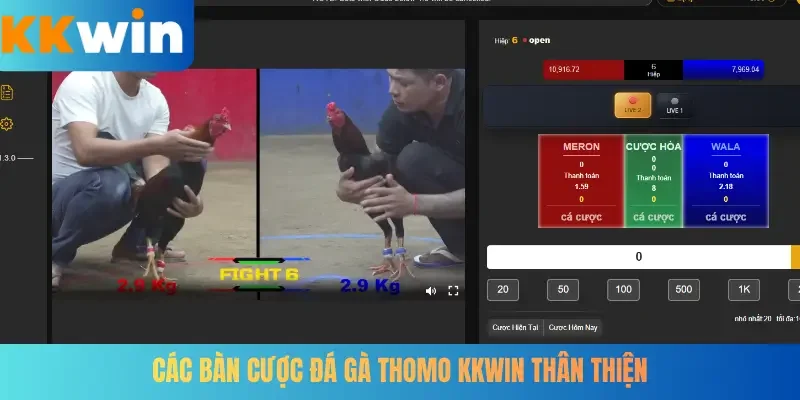 Các bàn cược đá gà Thomo KKWIN thân thiện