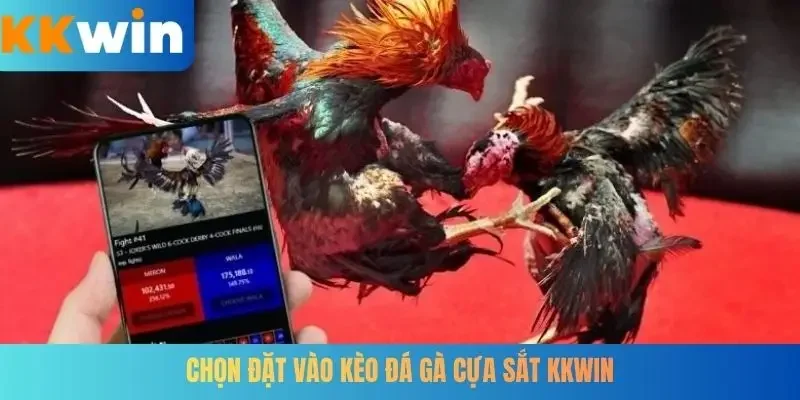 Chọn đặt vào kèo đá gà cựa sắt KKWIN