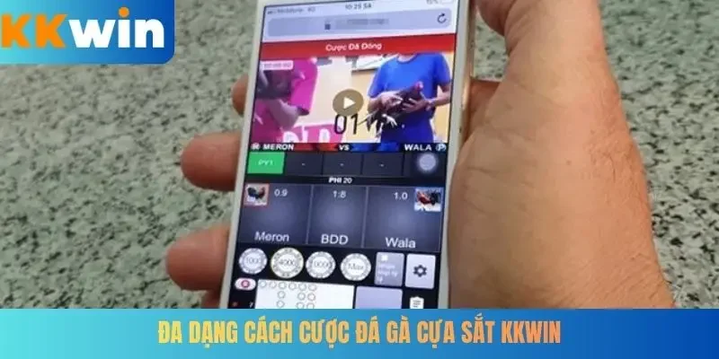 Đa dạng cách cược đá gà cựa sắt KKWIN