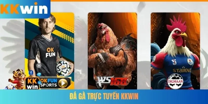 Đá gà trực tuyến KKWIN