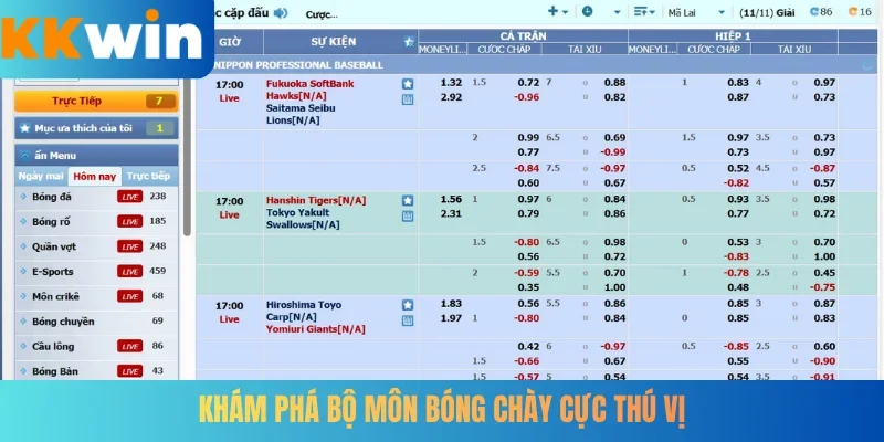 Khám phá bộ môn bóng chày cực thú vị