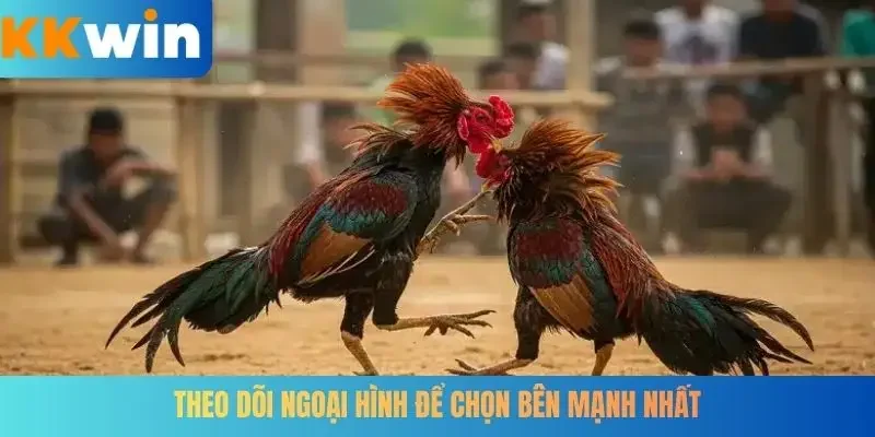 Theo dõi ngoại hình để chọn bên mạnh nhất